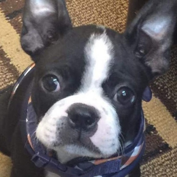 Meet your Posher, Leslie - Picture 1 of 1